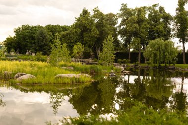 Büyüleyici bahçe göleti, yosun kaplı taşlar, odun ve çalılarla kaplı. Su zambağı ile donatılmış gölet. Arka bahçede otururken. Baharda küçük doğal bahçe gölü.