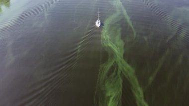 Eski çöplerle dolu kirli yeşil nehir