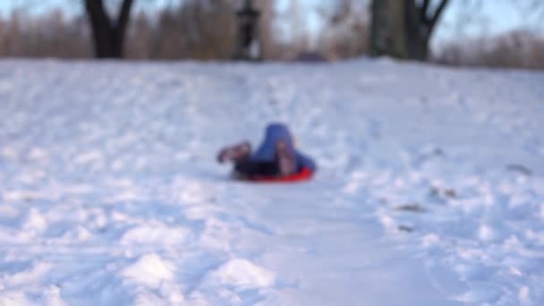 Little girl goes downhill on an ice sled down the winter snow-covered hill — Stock Video