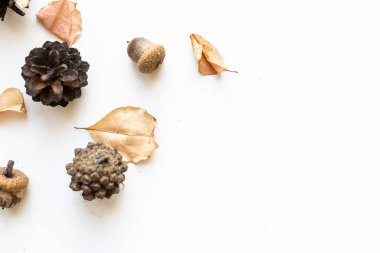 Sonbahar kompozisyonu. Sonbahar yapraklarından, meşe palamudundan, kozalaklardan yapılmış desen. Düz yatış, üst görünüm.