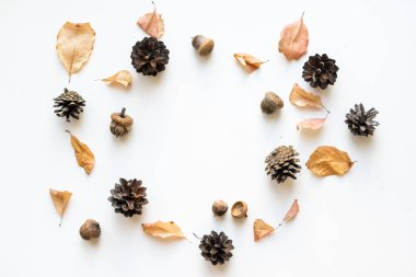 Sonbahar kompozisyonu. Sonbahar yapraklarından, meşe palamudundan, kozalaklardan yapılmış desen. Düz yatış, üst görünüm.