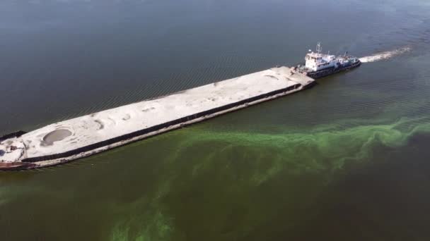 Vízszennyezés a virágzó kék-zöld algák által - A cianobaktérium a világ környezeti problémája. Víztestek, folyók és tavak káros algavirágzással. A szennyezett természet ökológiája. — Stock videók