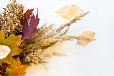 Yapraklardan gelen sonbahar buketi duygusal kişiye bir hediye. Sonbahar yaprakları buketi