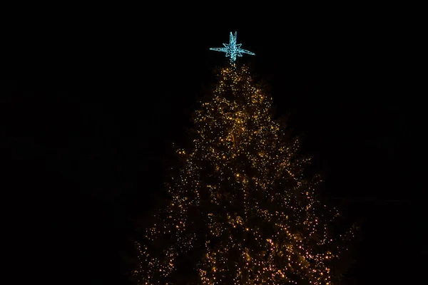 LVIV, UKRAINE - 27 Desember 2020: Tahun Baru dan pohon Natal di kota Eropa Lviv pada malam hari — Stok Foto