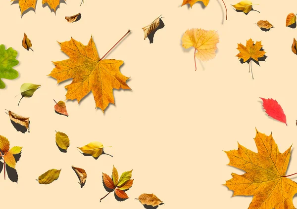 Composition d'automne. Citrouilles, bougies, feuilles séchées sur fond blanc. Automne, automne, concept d'Halloween. Pose plate, vue du dessus, espace de copie — Photo