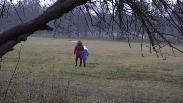 1 월 강에 우울 한 공원을 걷는 사람들 — 비디오