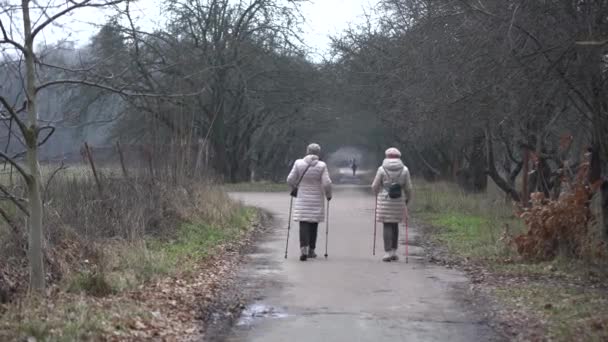 Άνθρωποι περπατούν ζοφερό πάρκο τον Ιανουάριο — Αρχείο Βίντεο