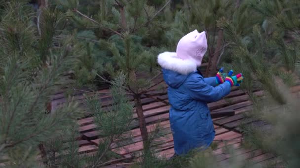 Egy kislány áll, és nézi a lehulló hópelyheket a sötétzöld fenyőfák hátterében. — Stock videók