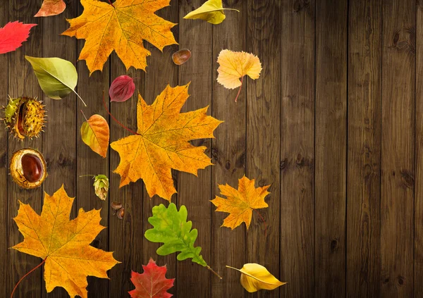 秋の作曲。カボチャ、ろうそく、白い背景に乾燥した葉。秋、秋、ハロウィーンのコンセプト。フラットレイ、トップビュー、コピースペース — ストック写真