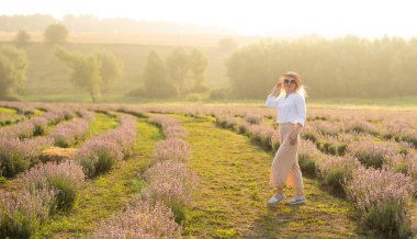Lavanta tarlasında saman şapkalı genç sarışın gezgin lavanta çiçekleriyle çevrili..