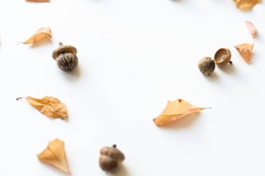 Sonbahar kompozisyonu. Sonbahar yapraklarından, meşe palamudundan, kozalaklardan yapılmış desen. Düz yatış, üst görünüm.