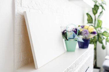 Çiçekler. Model için beyaz gerilmiş tuval.