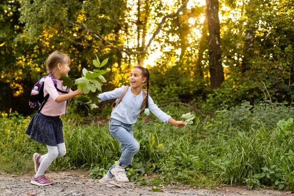 Két lány sétál nyáron a parkban, beszélgetnek, sétálnak iskola és főiskola után, fogják egymás kezét, a legjobb barátok hazajönnek suli után. Szabad hely a szöveg másolásához — Stock Fotó