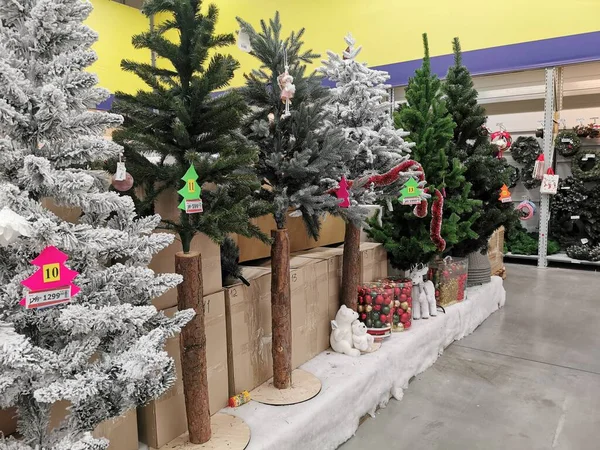 Einkaufszentrum mit Weihnachtsbäumen dekoriert — Stockfoto