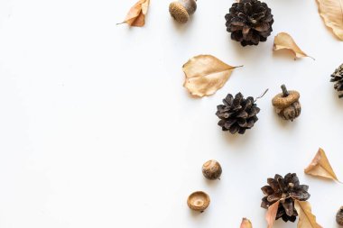 Farklı büyüklükte sonbahar meşe yaprakları, meşe palamutları ve beyaz arka planda izole edilmiş yabani gül meyveleri..