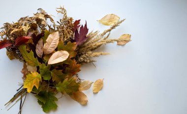 Sonbahar buketi sarı ve portakal çiçekleri, kırmızı böğürtlen ve akçaağaç yaprakları