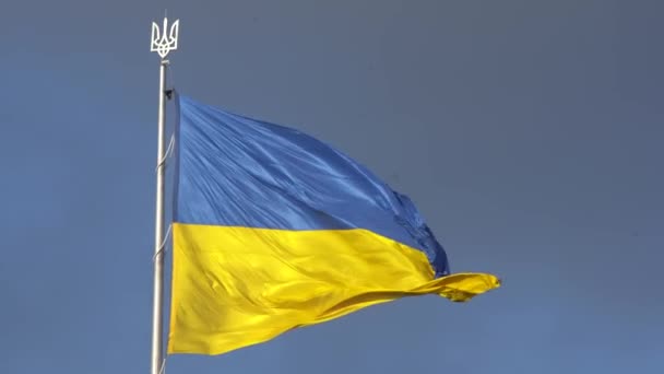 Bandeira da Ucrânia. Acenando bandeira azul amarela — Vídeo de Stock