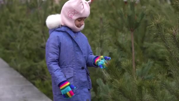 Egy kislány áll, és nézi a lehulló hópelyheket a sötétzöld fenyőfák hátterében. — Stock videók