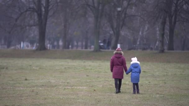 Lidé procházka pochmurný park v lednu — Stock video