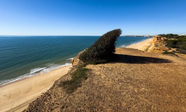 Kaya sahili. Praia da Vigia ve Praia dos Arrifes plajları Albufeira, Algarve, Portekiz, Avrupa 'da. Yüksek kalite fotoğraf