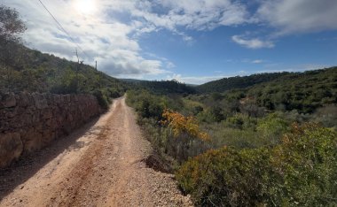 Ormanda yürüyüş, çamurlu patika. Yüksek kalite fotoğraf