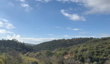 Gökyüzünün altındaki ormanda Rocky Patikası. Yüksek kalite fotoğraf