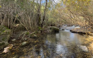 Fonte da Benemola 'daki nehir manzarası. Loule, Algarve, Portekiz. Yüksek kalite fotoğraf