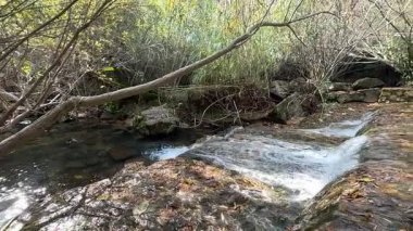 Fonte da Benemola 'daki nehir manzarası. Loule, Algarve, Portekiz. Yüksek kalite fotoğraf