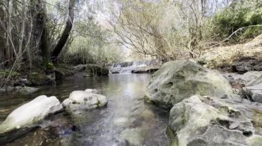 Fonte da Benemola 'daki nehir manzarası. Loule, Algarve, Portekiz. Yüksek kalite fotoğraf