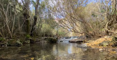 Fonte da Benemola 'daki nehir manzarası. Loule, Algarve, Portekiz. Yüksek kalite fotoğraf