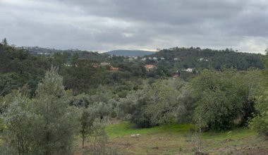 Bulutlu bir gökyüzünün altında yeşil bir tepe. Yüksek kalite fotoğraf
