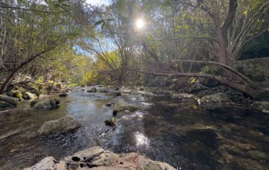 Fonte da Benemola 'daki nehir manzarası. Loule, Algarve, Portekiz. Yüksek kalite fotoğraf