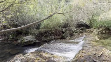 Benemola bölgesinde, Loule, Portekiz yakınlarında güzel bir nehir akıntısı. Yüksek kalite fotoğraf