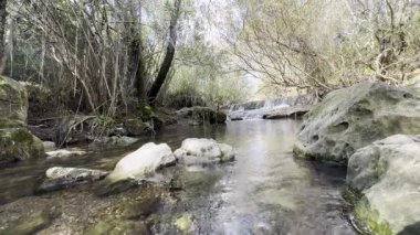 Benemola bölgesinde, Loule, Portekiz yakınlarında güzel bir nehir akıntısı. Yüksek kalite fotoğraf