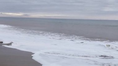 Gün doğumunda sakin kumlu bir plajda hafif dalgalar, yakın görüş. Yüksek kalite 4k görüntü