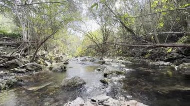 Benemola bölgesinde, Loule, Portekiz yakınlarında güzel bir nehir akıntısı. Yüksek kalite fotoğraf