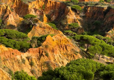 Turuncu ve sarı tortulu kaya tabakaları olan engebeli uçurum, sert çalılarla süslenmiş. Parçalı bulutlu gökyüzünün altında aşınmış dokular doğanın saf güzelliğini sergiliyor. Yüksek kalite fotoğraf