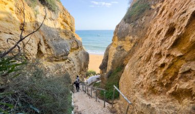 Tepesinde yeşil çimen olan gri kayalıklar, parlak gün ışığı, doğal, dingin ve Polly Joke - Cornwall - İngiltere 'de biraz klostrofobik perspektif arasındaki kumsal geçidi. Yüksek kalite fotoğraf