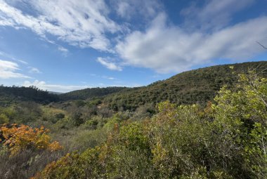 Bulutlu bir gökyüzünün altında yeşil bir tepe. Yüksek kalite fotoğraf