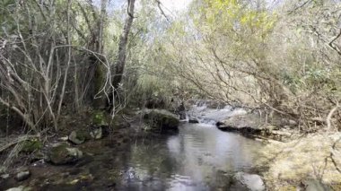Fonte da Benemola 'daki nehir manzarası. Loule, Algarve, Portekiz. Yüksek kalite fotoğraf