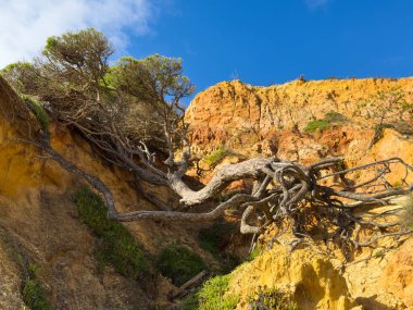 Olhos de Agua 'daki gökyüzü plajı. Yüksek kalite fotoğraf
