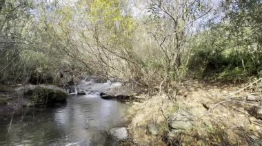 Fonte da Benemola 'daki nehir manzarası. Loule, Algarve, Portekiz. Yüksek kalite fotoğraf