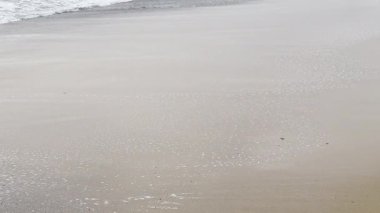 Kumlu sahil şeridi sakin okyanus dalgaları doğal arka plan, yaz konsepti. Yüksek kalite fotoğraf