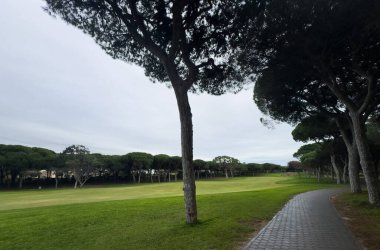 Mavi Gök 'le Yeşil Golf Sahasının Güzel Manzarası. Yüksek kalite fotoğraf