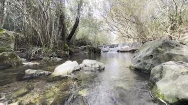 Fonte da Benemola 'daki nehir manzarası. Loule, Algarve, Portekiz. Yüksek kalite fotoğraf