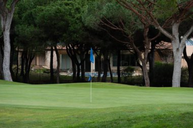 Yeşil Çimenli ve Ağaçlı Golf Sahası. Yüksek kalite fotoğraf