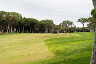 Mavi Gök 'le Yeşil Golf Sahasının Güzel Manzarası. Yüksek kalite fotoğraf