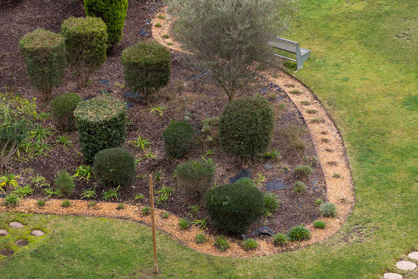 Curvy pathway in the flowering garden with shaped trees. High quality photo