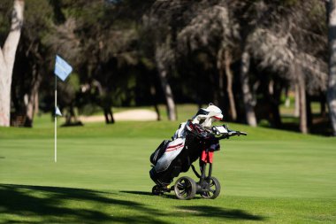Profesyonel oyun antrenmanı ya da turnuva için yeşil saha spor ekipmanlarında golf sopalarını çantaya koyun. Yüksek kalite fotoğraf