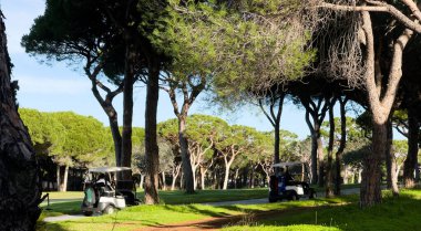 Golf sahası, araba ve golf sahasında spor müsabakaları için spor kulübü spor, turnuva ya da eğitim için. Çimenler, ağaçlar ve doğa ya da dışarıda çalışma, dinlenme ya da hobi için egzersiz ulaşımı. Yüksek kalite fotoğraf